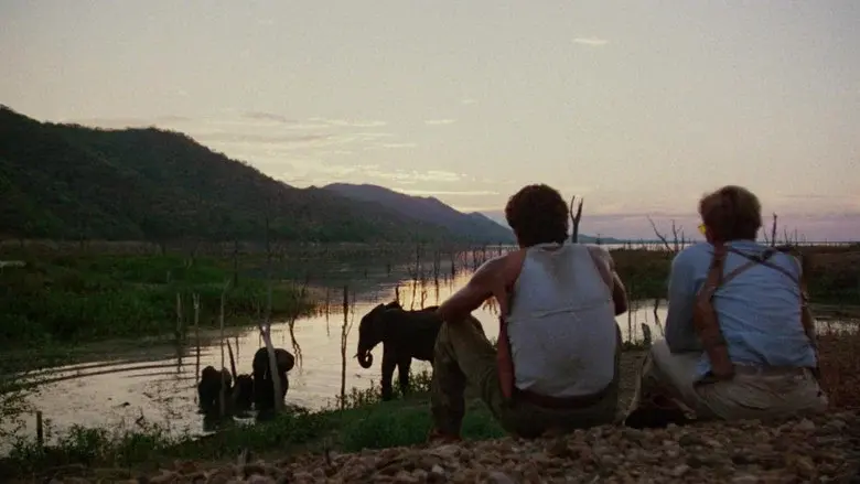 Jake Speed: La aventura de África - Fondo