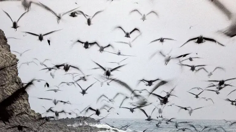 Indiana Jones y la última cruzada - Fondo