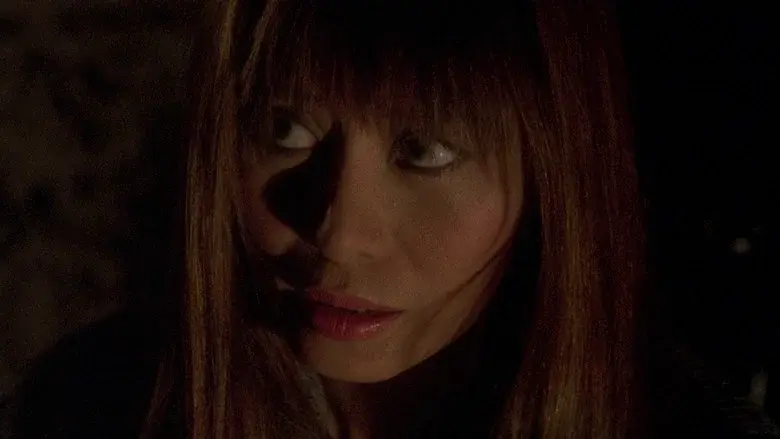 Amityville V: La maldición de Amityville - Fondo