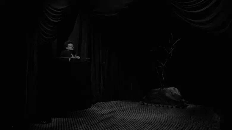 Cabeza borradora - Fondo