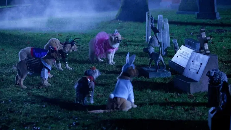 Truco, trato y Buddies - Fondo