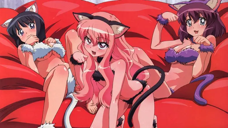Zero no Tsukaima - Fondo