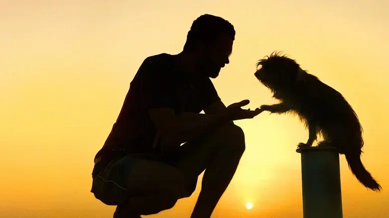 Pets - Fondo