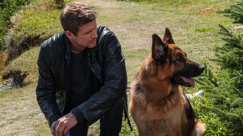 Hudson & Rex - Fondo