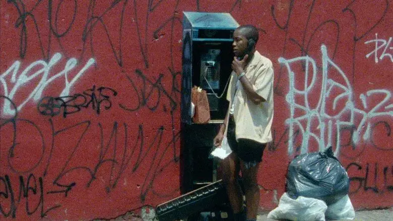 The Watermelon Woman - Fondo