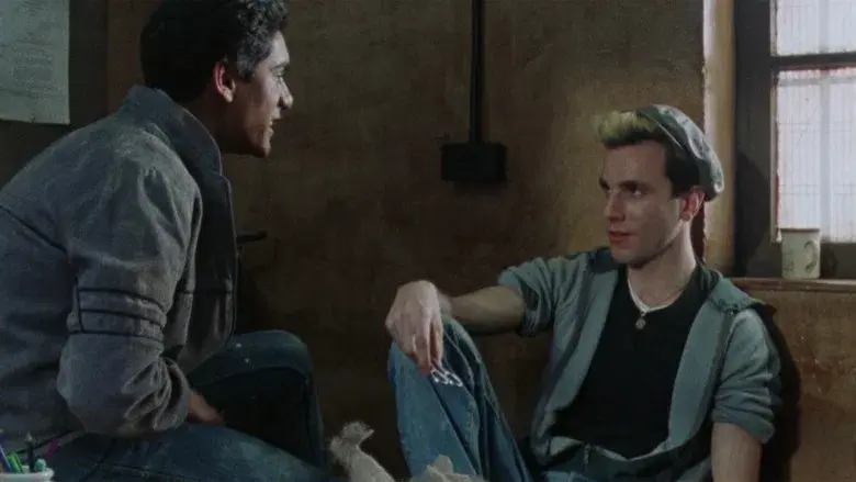 Mi hermosa lavandería - Fondo