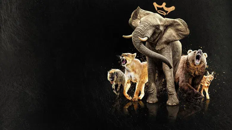 Reinas del mundo salvaje - Fondo