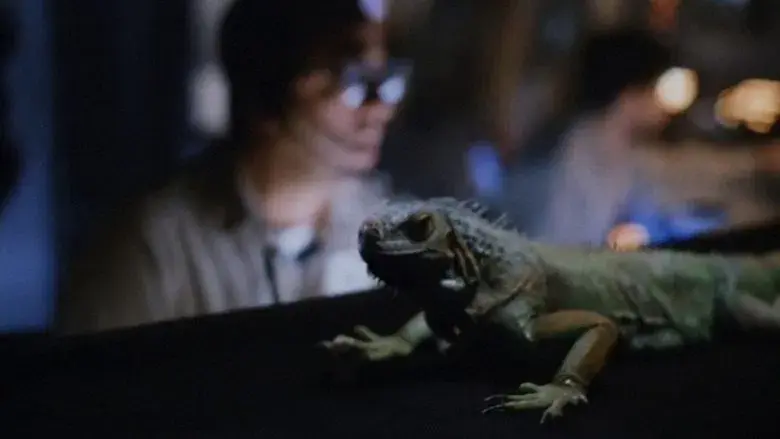 Carnosaurios 2 - Fondo