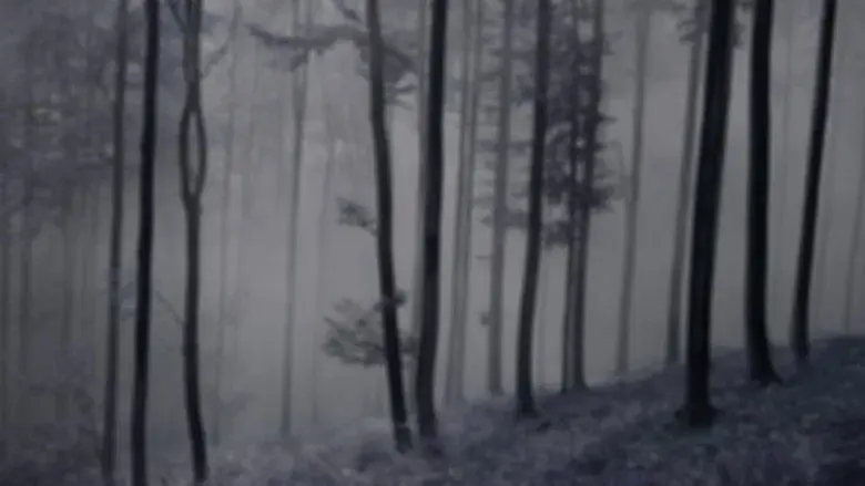 The Legend of King Arthur - Fondo