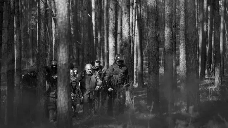 Green Border - Fondo