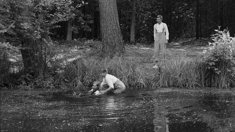 La cinta blanca - Fondo