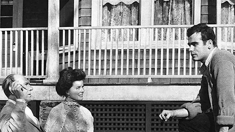 Larga jornada hacia la noche - Fondo