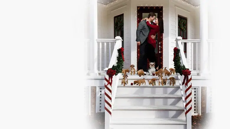 Encontrando el amor en Navidad - Fondo