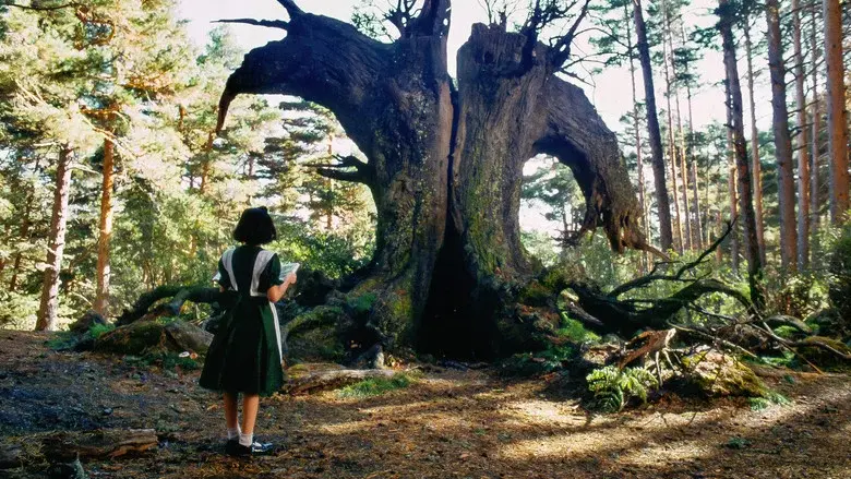 El laberinto del fauno - Fondo