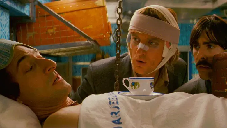 Viaje a Darjeeling - Fondo