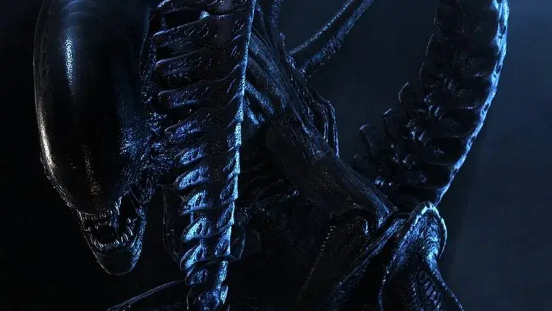 Alien vs. Predator - Fondo