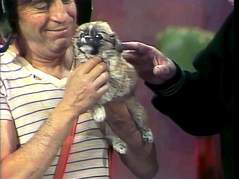 Sin piñata no hay posada