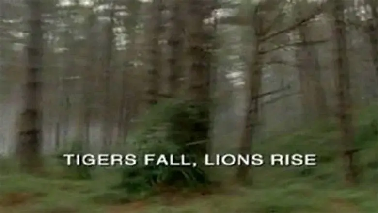 Menos tigres, más leones