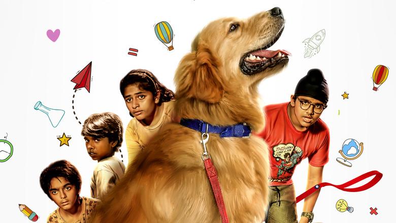 ஷாட் பூட் த்ரீ - Fondo