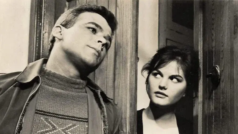 Rufufú da el golpe - Fondo