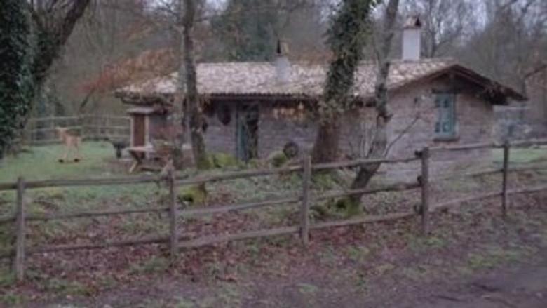 Al margen de la realidad