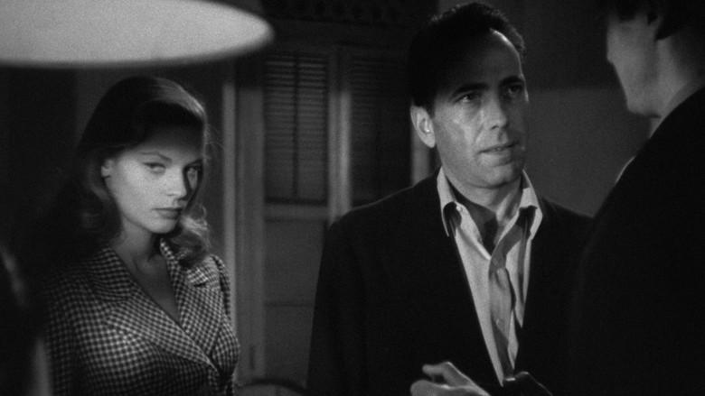 Tener y no tener - Fondo