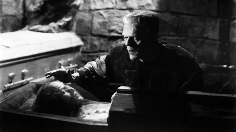 La novia de Frankenstein - Fondo