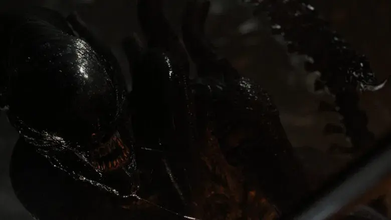 Alien: Romulus - Fondo