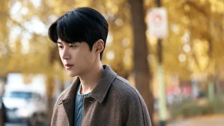 ¿Cómo se traduce este amor? - Fondo