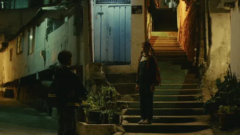 Vidas pasadas - Fondo