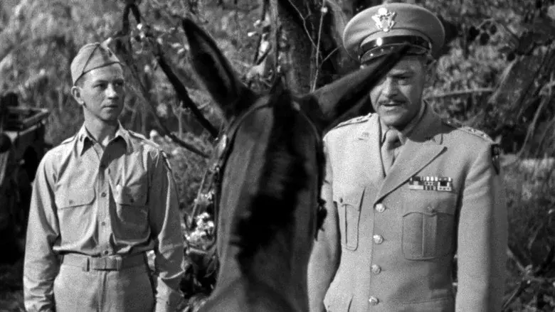 Mi mula Francis - Fondo