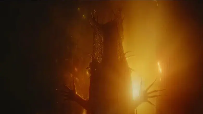 Yellowjackets - Fondo