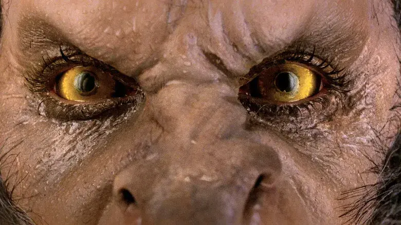 Un hombre lobo americano en Londres - Fondo