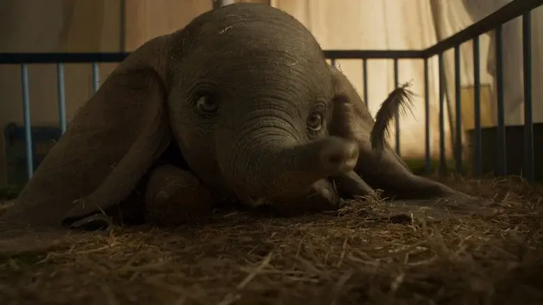 Dumbo - Fondo