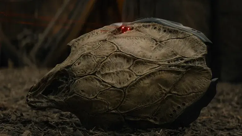 Predator: La presa - Fondo