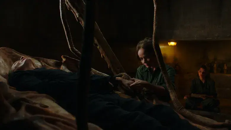 Crímenes del futuro - Fondo