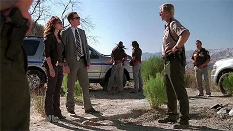 El mal y su hermano Ziggy