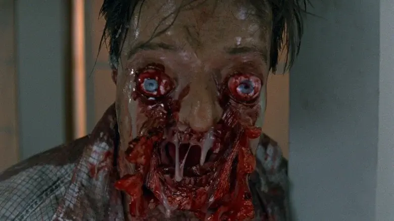 Body Melt - Fondo