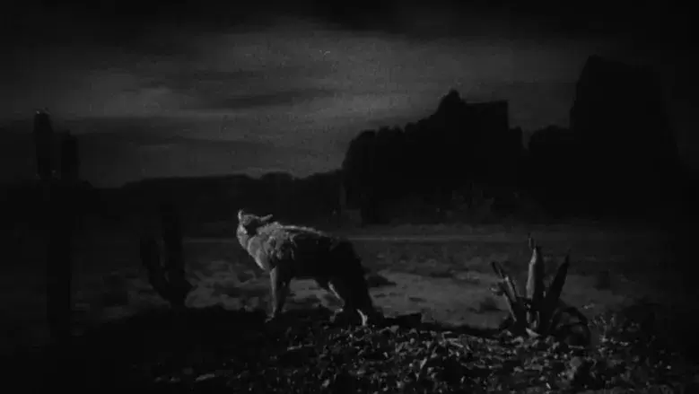 La diligencia - Fondo