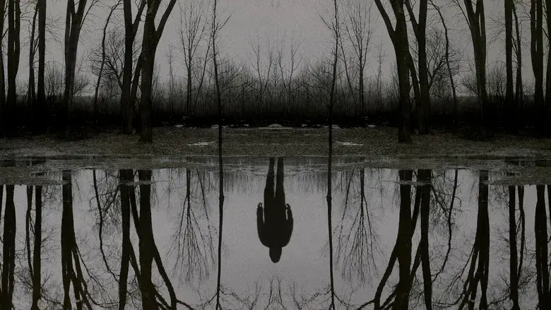 El visitante - Fondo