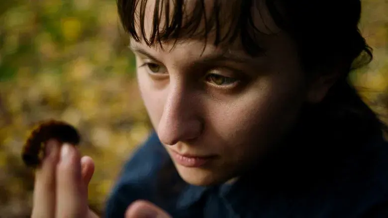 The Human Hibernation - Fondo