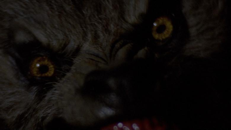 Un hombre lobo americano en Londres - Fondo