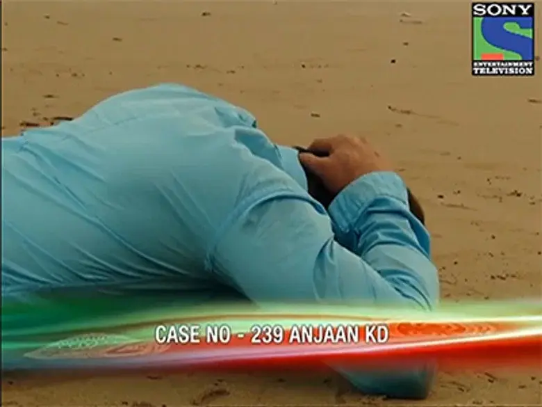 Episodio 239