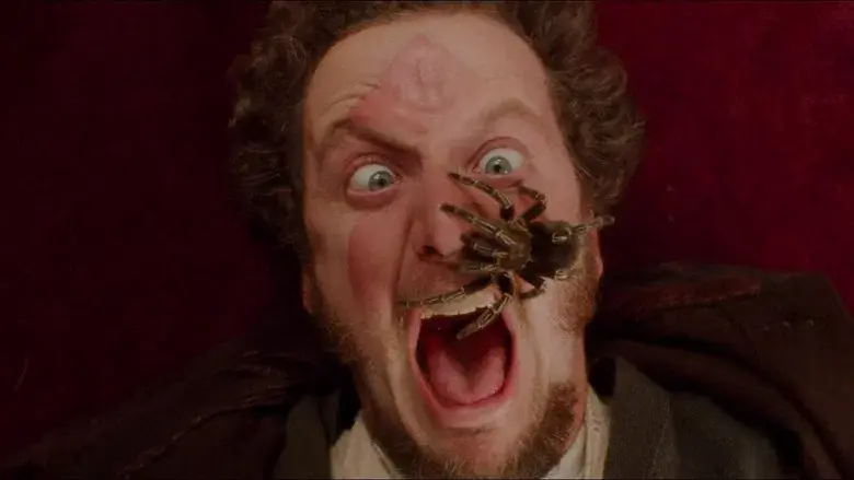 Solo en casa - Fondo