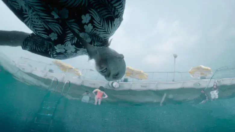 Beau tiene miedo - Fondo