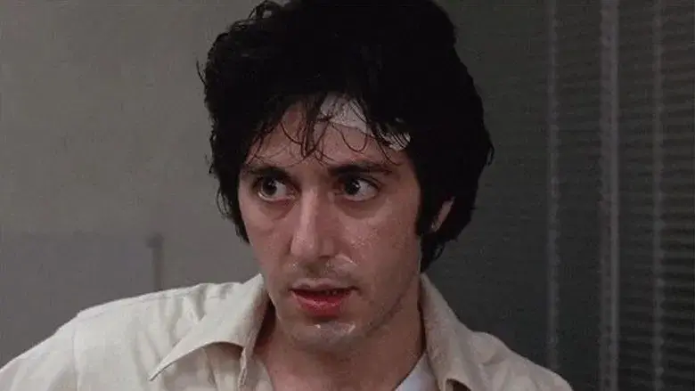 Tarde de perros - Fondo