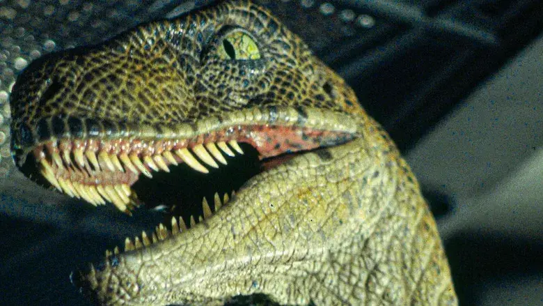 Jurassic Park (Parque Jurásico) - Fondo