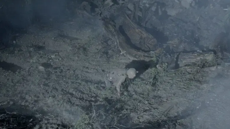 Winnie the Pooh 2: El bosque sangriento - Fondo