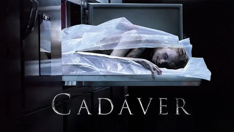 Cadáver - Fondo