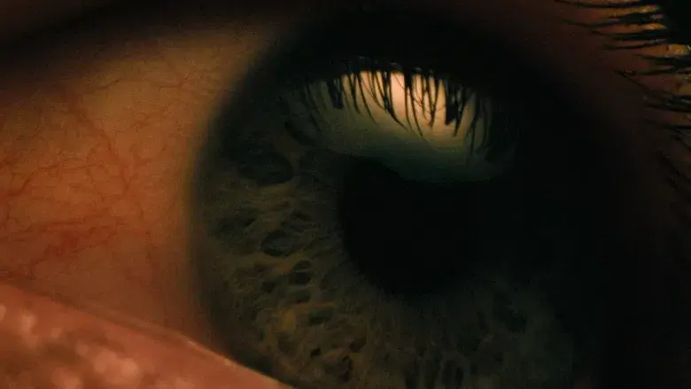 La primera profecía - Fondo